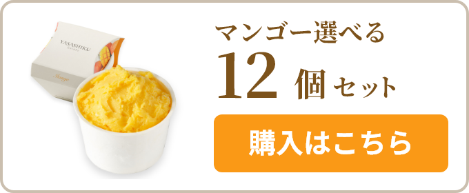マンゴー選べる12個セット 購入はこちら