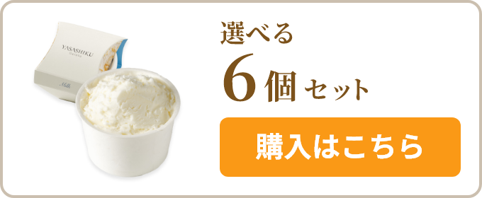 選べる6個セット 購入はこちら