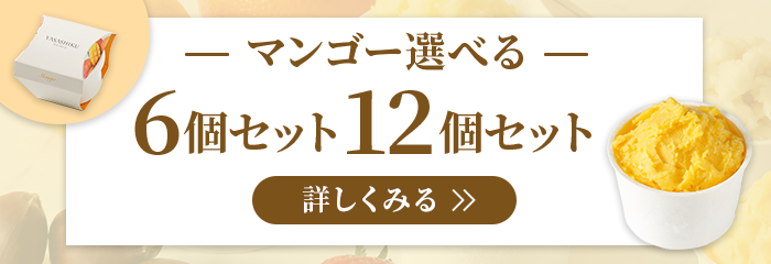 マンゴー選べる6個セット・12個セット